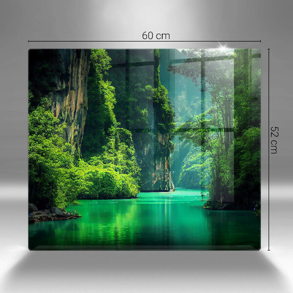 Ceranfeld schutz Lagunenlandschaft