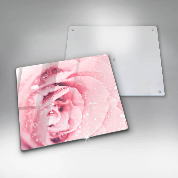 Ceranfeldabdeckung Tautropfen und Rosenblüte