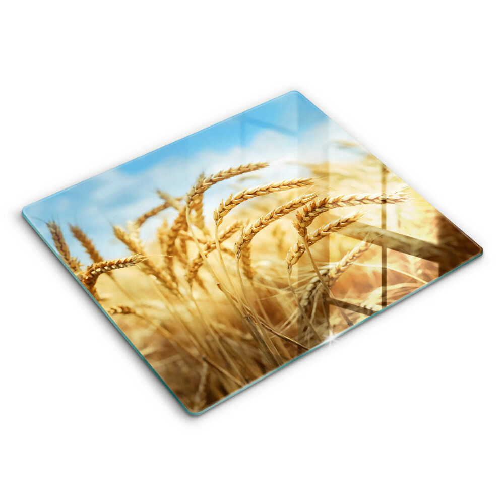 Ceranfeld schutz Getreideähren auf dem Feld
