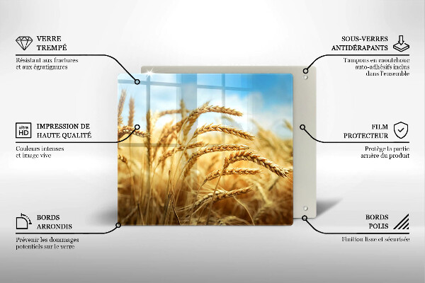 Ceranfeld schutz Getreideähren auf dem Feld