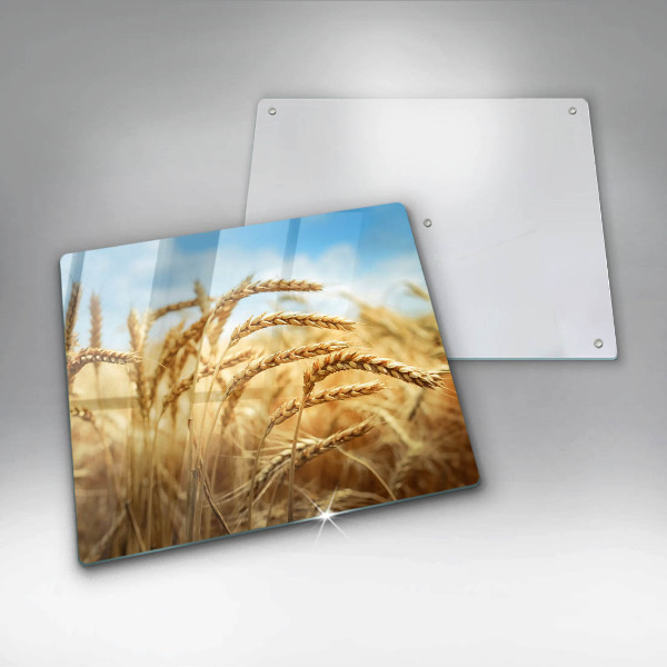 Ceranfeld schutz Getreideähren auf dem Feld