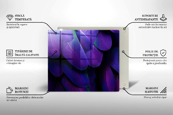 Ceranfeld schutz Neonfedern