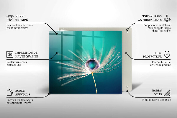 Ceranfeld schutz Tau auf einem Löwenzahn