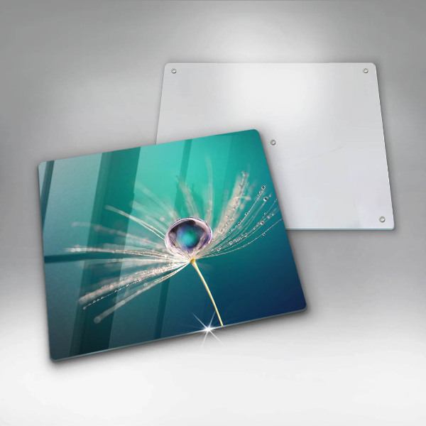 Ceranfeld schutz Tau auf einem Löwenzahn