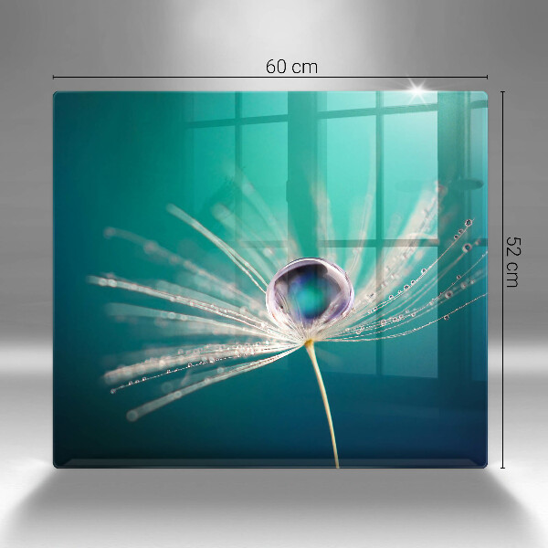 Ceranfeld schutz Tau auf einem Löwenzahn