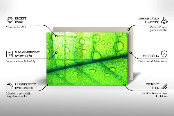 Herdabdeckplatte glas Nahaufnahme eines Blattes