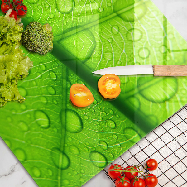 Herdabdeckplatte glas Nahaufnahme eines Blattes