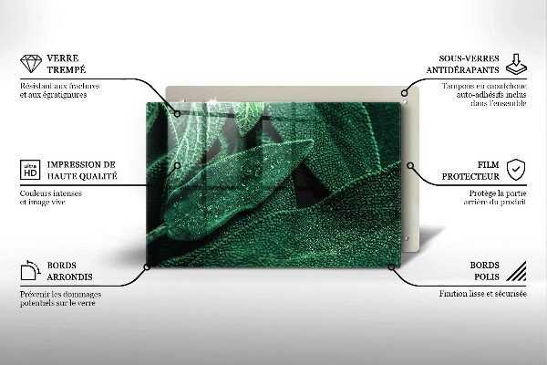 Herdabdeckung Die Blätter der Pflanze