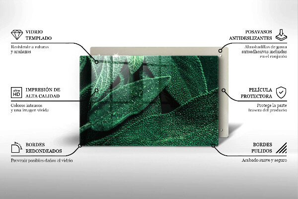 Herdabdeckung Die Blätter der Pflanze