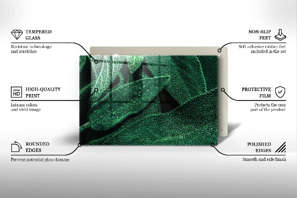 Herdabdeckung Die Blätter der Pflanze