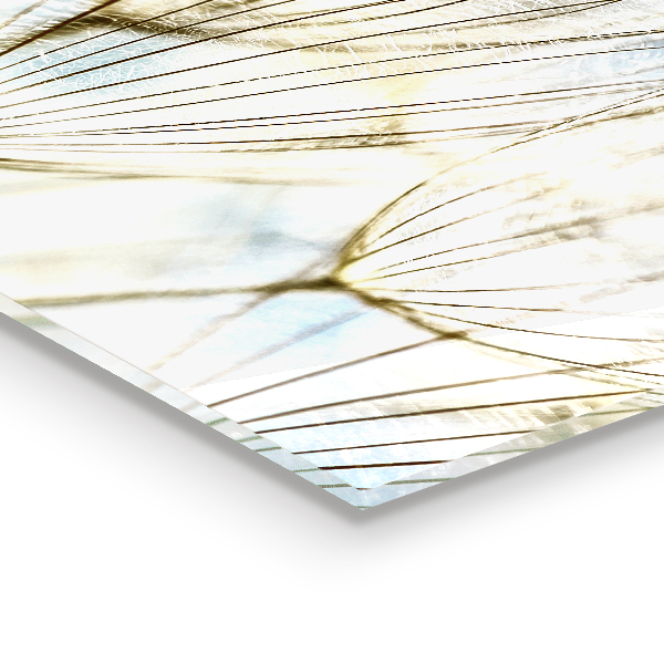 Küchenrückwand Spritzschutz Löwenzahn Löwenzahn im Wind