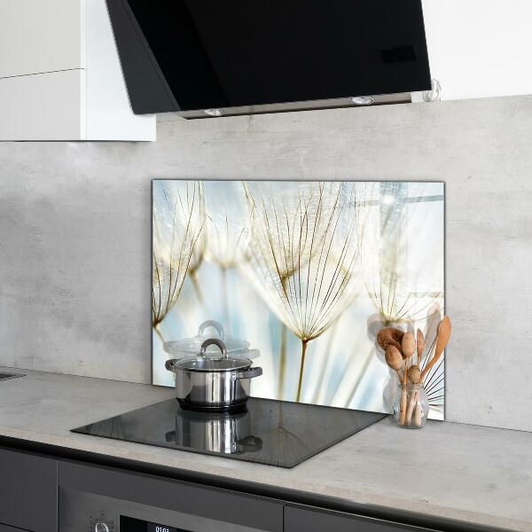 Küchenrückwand Spritzschutz Löwenzahn Löwenzahn im Wind