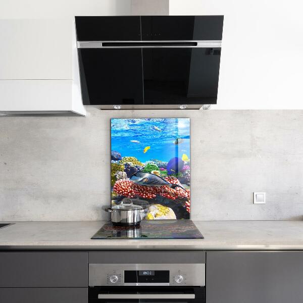 Küchenrückwand Spritzschutz Korallenriff Rotes Meer