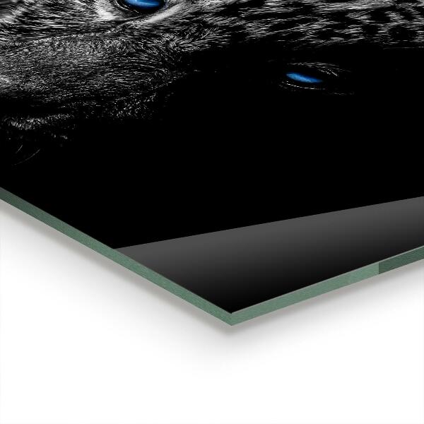 Küchenrückwand Spritzschutz Dunkle Panther-Wildkatze
