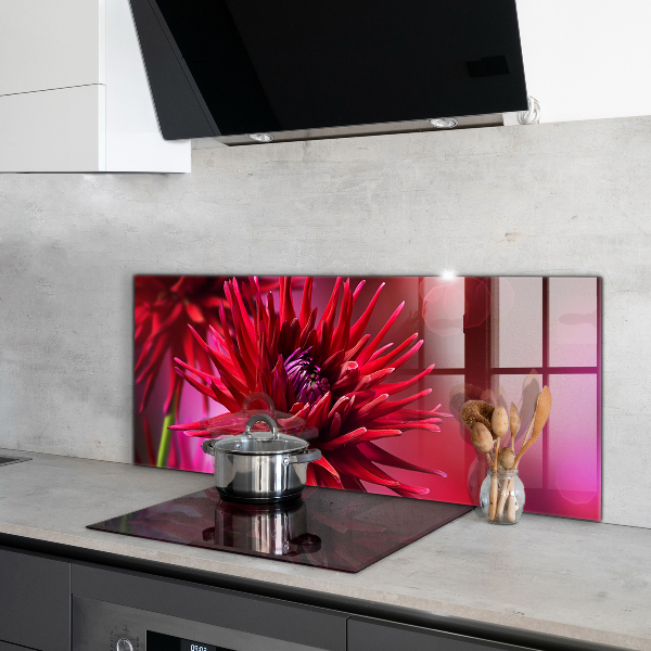 Küchenrückwand Spritzschutz Rote Dahlienblume