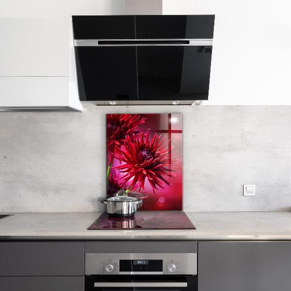 Küchenrückwand Spritzschutz Rote Dahlienblume