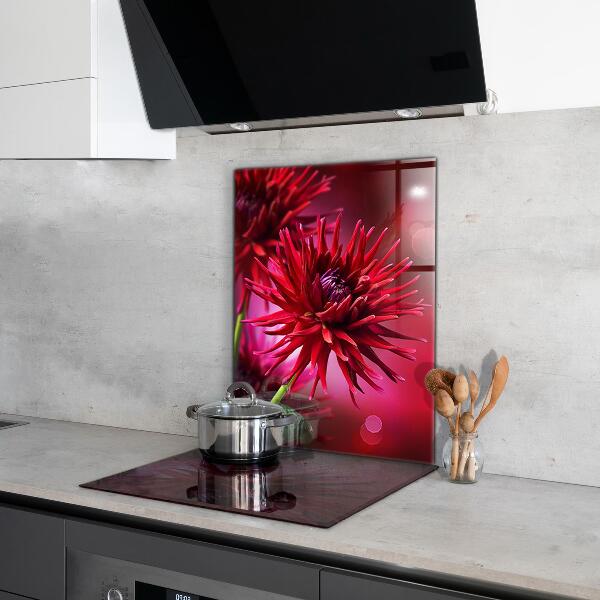 Küchenrückwand Spritzschutz Rote Dahlienblume