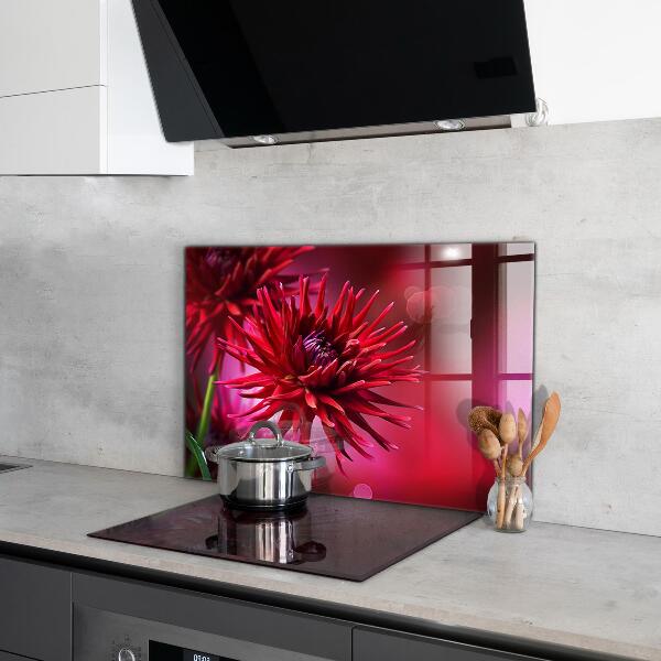 Küchenrückwand Spritzschutz Rote Dahlienblume