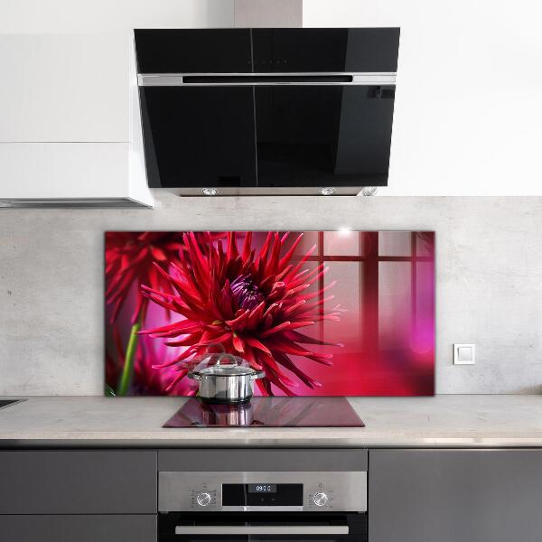 Küchenrückwand Spritzschutz Rote Dahlienblume