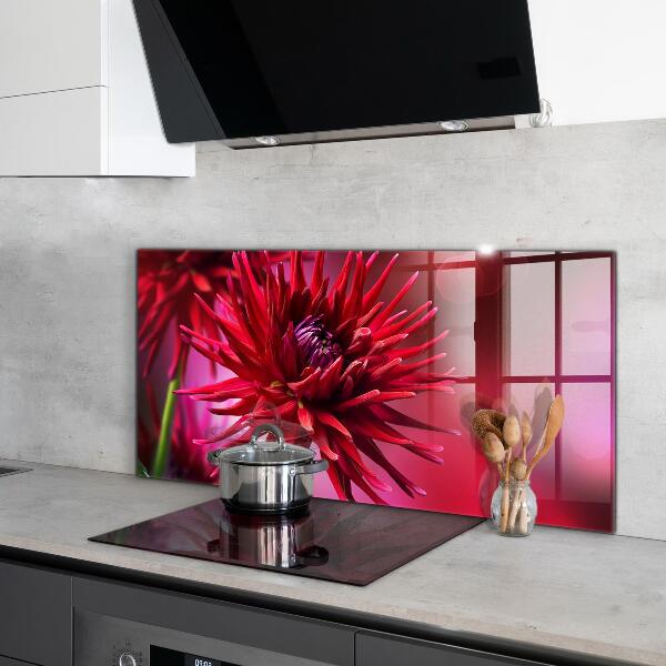 Küchenrückwand Spritzschutz Rote Dahlienblume