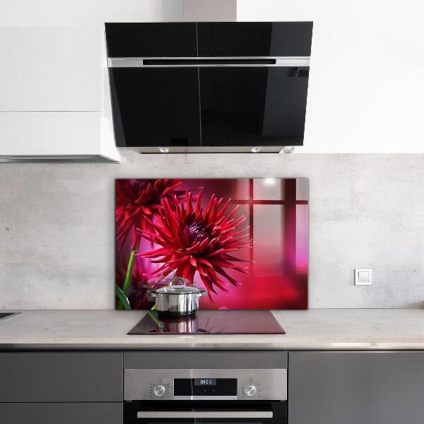 Küchenrückwand Spritzschutz Rote Dahlienblume