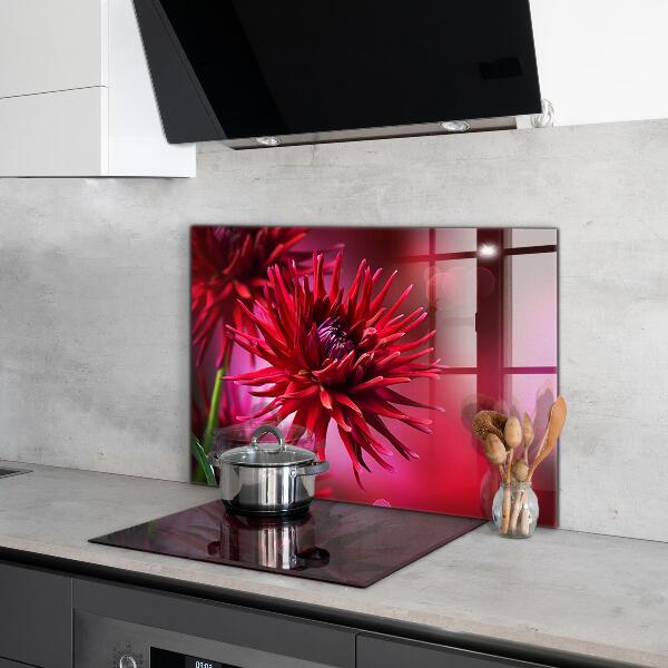 Küchenrückwand Spritzschutz Rote Dahlienblume