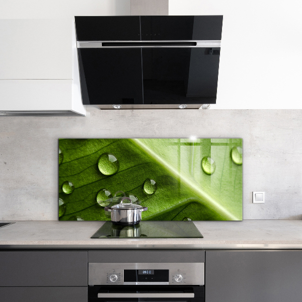 Küchenrückwand Spritzschutz Blatt mit Tropfen Morgentau