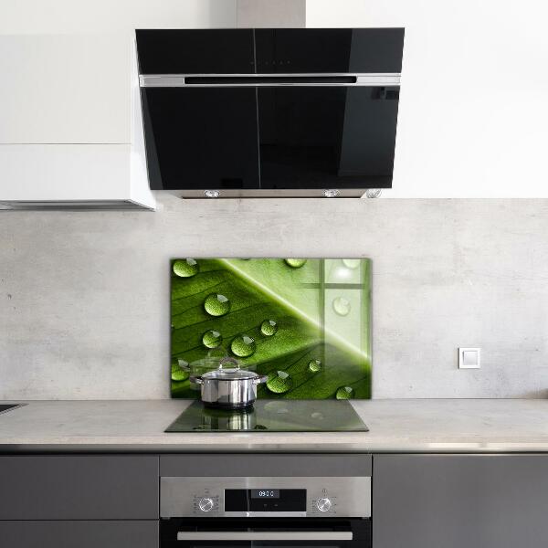 Küchenrückwand Spritzschutz Blatt mit Tropfen Morgentau