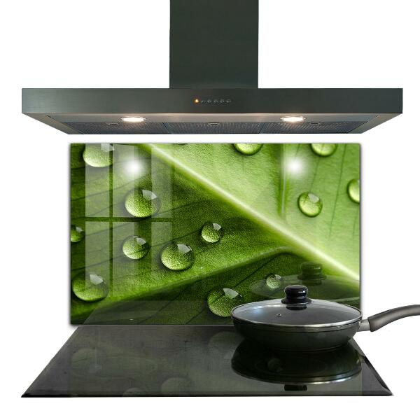 Küchenrückwand Spritzschutz Blatt mit Tropfen Morgentau