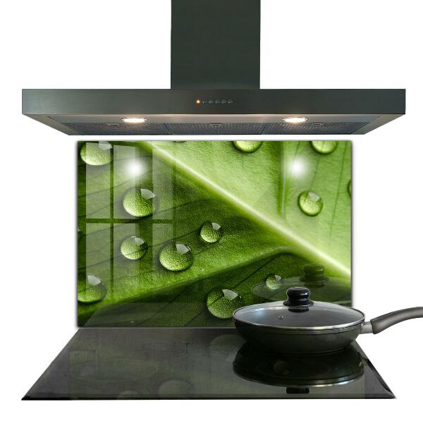 Küchenrückwand Spritzschutz Blatt mit Tropfen Morgentau