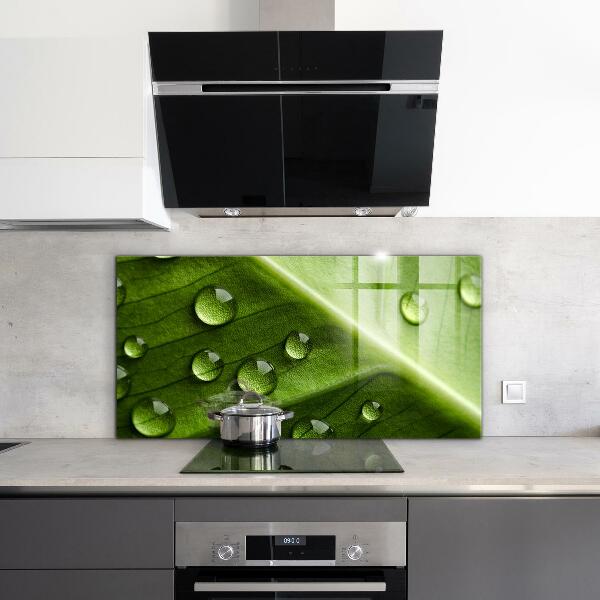 Küchenrückwand Spritzschutz Blatt mit Tropfen Morgentau