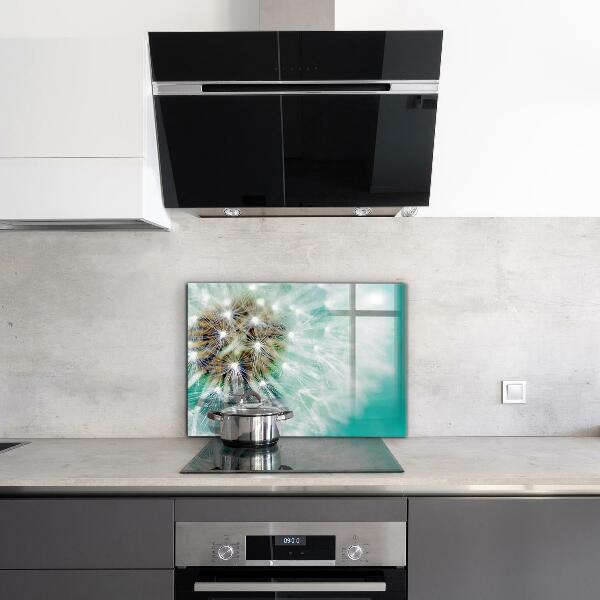 Küchenrückwand Spritzschutz Löwenzahn in der Windpflanze