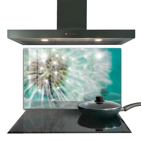 Küchenrückwand Spritzschutz Löwenzahn in der Windpflanze