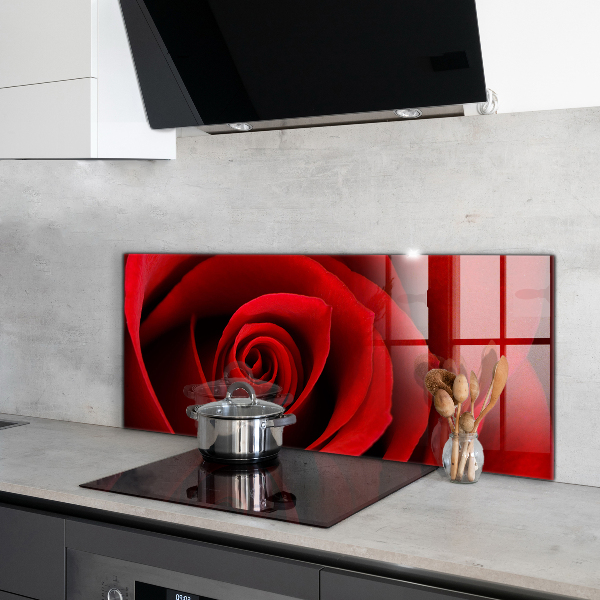 Küchenrückwand Spritzschutz Rote Rosenliebe