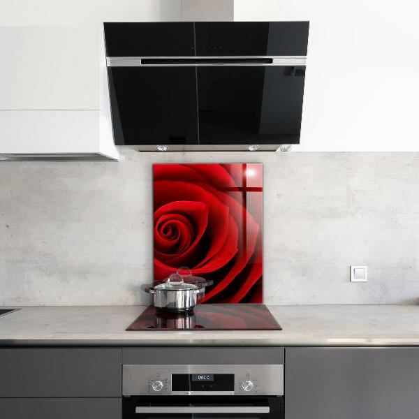 Küchenrückwand Spritzschutz Rote Rosenliebe