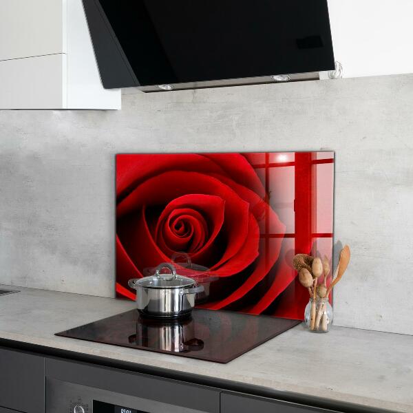Küchenrückwand Spritzschutz Rote Rosenliebe