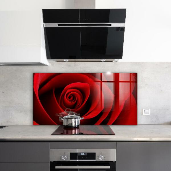 Küchenrückwand Spritzschutz Rote Rosenliebe