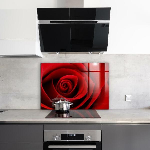 Küchenrückwand Spritzschutz Rote Rosenliebe