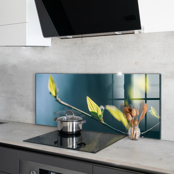 Küchenrückwand Spritzschutz Glänzendes Blatt auf Ast