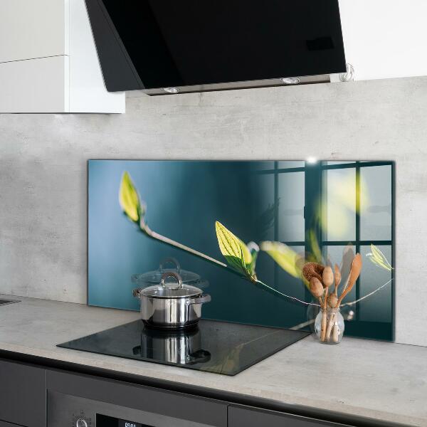 Küchenrückwand Spritzschutz Glänzendes Blatt auf Ast