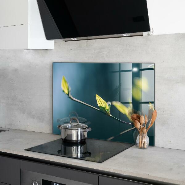 Küchenrückwand Spritzschutz Glänzendes Blatt auf Ast