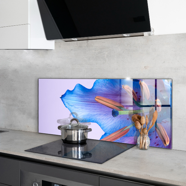 Küchenrückwand Spritzschutz Wunderschöne blaue Lilie
