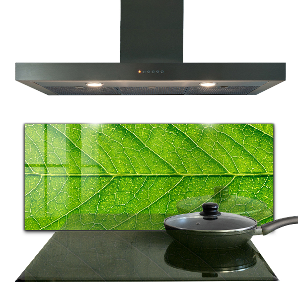 Küchenrückwand Spritzschutz Zarte Blattdetails