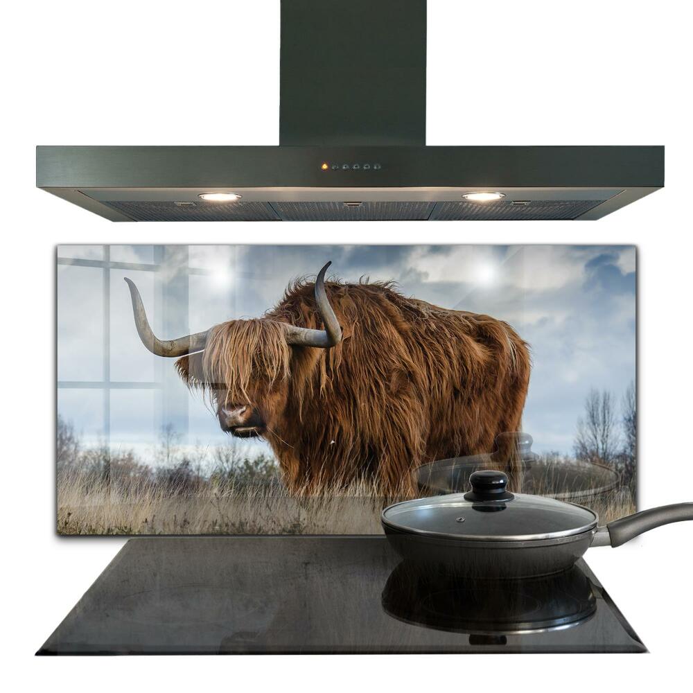 Küchenrückwand Spritzschutz Highland Boho Kuh
