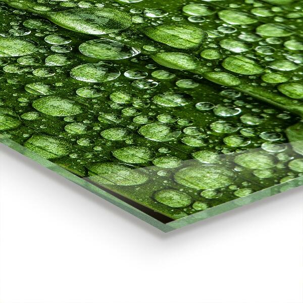 Küchenrückwand Spritzschutz Grünes Blatt nach Regen