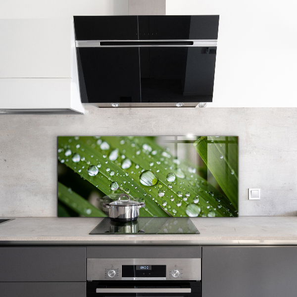 Küchenrückwand Spritzschutz Tautropfen auf dem Gras