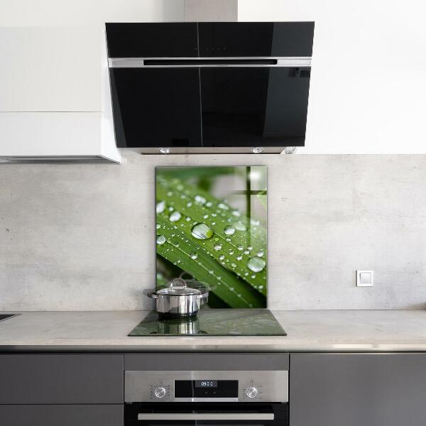 Küchenrückwand Spritzschutz Tautropfen auf dem Gras