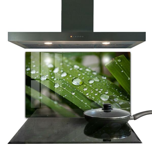 Küchenrückwand Spritzschutz Tautropfen auf dem Gras