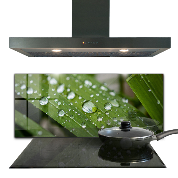 Küchenrückwand Spritzschutz Tautropfen auf dem Gras