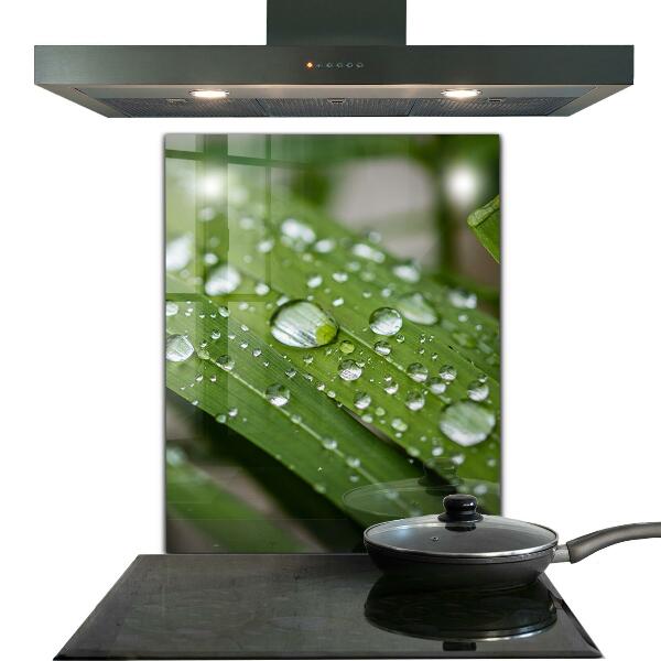 Küchenrückwand Spritzschutz Tautropfen auf dem Gras